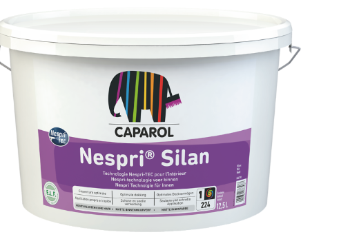 NESPRI SILAN, PEINTURE, COLORIAN, ARNOUVILLE, PARIS, GONESSE, PRO, BATIMENT, PROMO, REVETEMENT MUR, CAPAROL, LIVRAISON GRATUITE, BTP, PEINTRE, ARTISAN, QUALITE, INTEIREUR, ACRYLIQUE, FABRICATION FRANCAISE