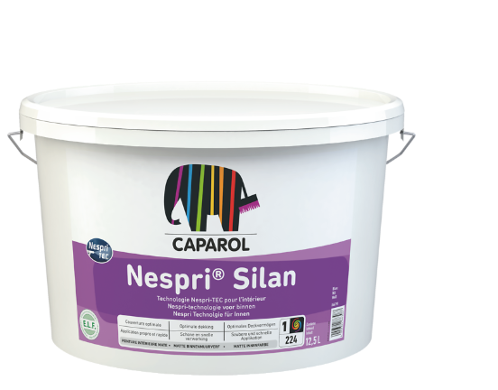 AMPHISILAN SILAN, PEINTURE, COLORIAN, ARNOUVILLE, PARIS, GONESSE, PRO, BATIMENT, PROMO, REVETEMENT MUR, CAPAROL, LIVRAISON GRATUITE, BTP, PEINTRE, ARTISAN, QUALITE, INTEIREUR, ACRYLIQUE, FABRICATION FRANCAISE